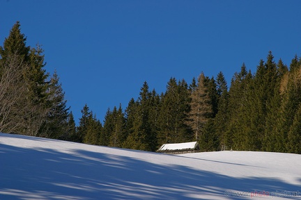 Schneeschuhwandern (20090104 0011)